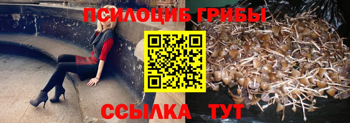 Псилоцибиновые грибы мухоморы Боровичи
