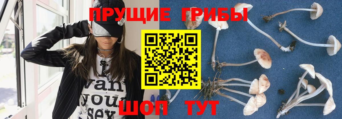 Боровичи  Псилоцибиновые грибы прущие грибы  Вход с VPN 